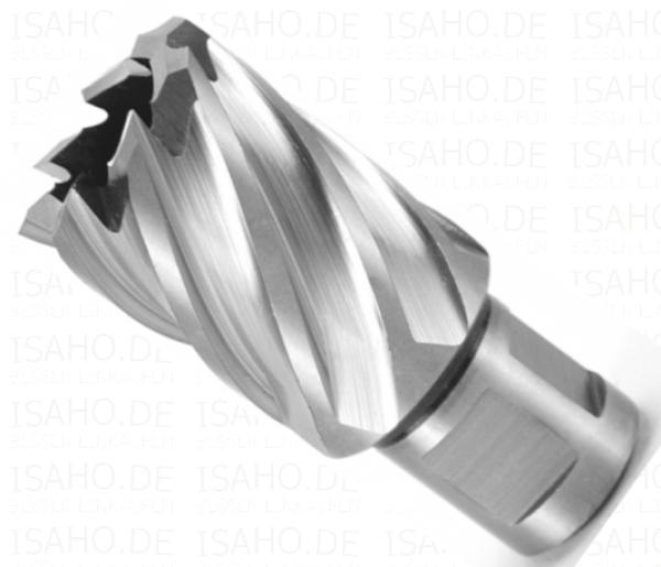 HSS Kernbohrer 26,0 mm mit Weldonschaft - CBN geschliffen, Terrax