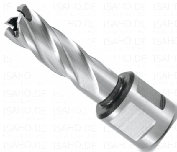 HSS Kernbohrer 12,0 mm mit Weldonschaft - CBN geschliffen, Terrax