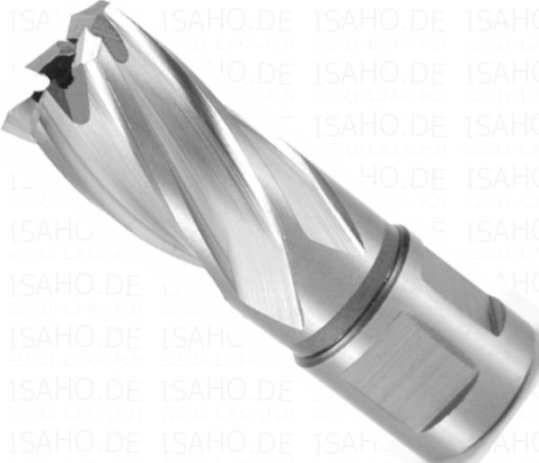 HSS Kernbohrer 18,0 mm mit Weldonschaft - CBN geschliffen, Terrax