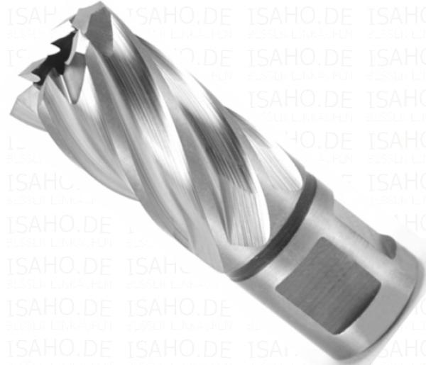 HSS Kernbohrer 20,0 mm mit Weldonschaft - CBN geschliffen, Terrax