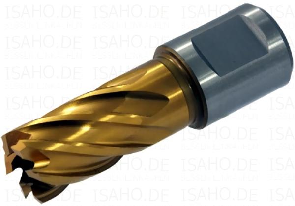 HSS TIN Kernbohrer 16,0 mm mit Weldonschaft - CBN geschliffen, Terrax