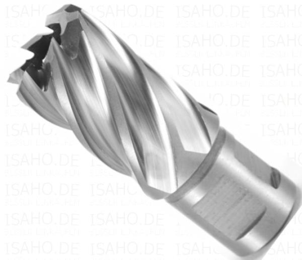 HSS Kernbohrer 22,0 mm mit Weldonschaft - CBN geschliffen, Terrax